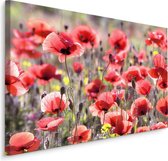 Schilderij -  Veld met Klaprozen  , Wanddecoratie , Premium print