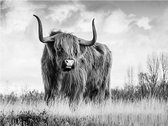 Nordic Highland Style Print Poster Wall Art Kunst Canvas Printing Op Papier Living Decoratie 60X100cm Multi-color