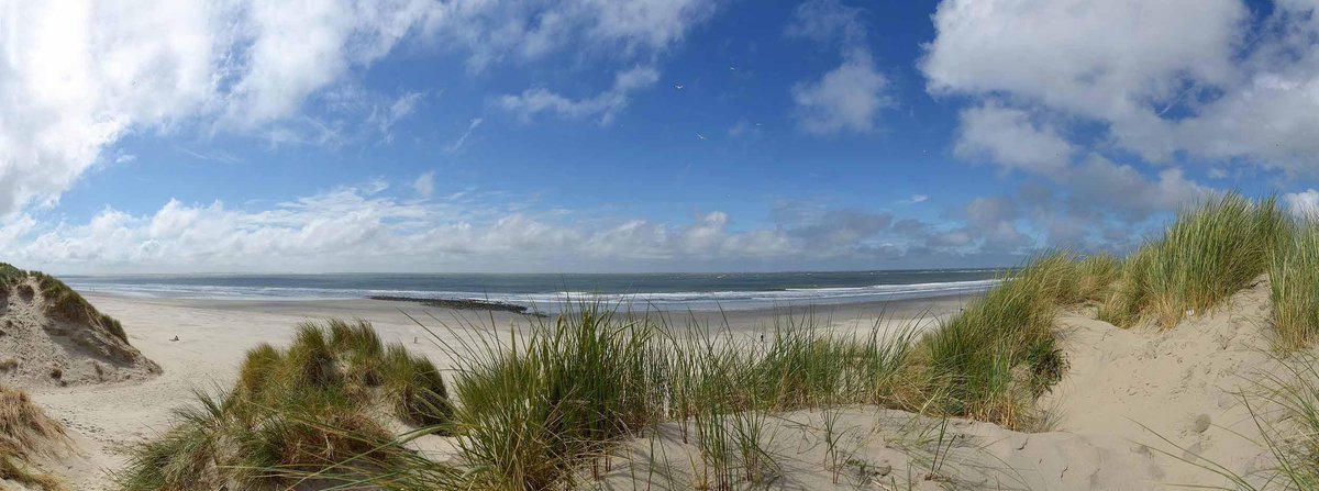 Fotobehang duinen en strand Ameland 250 x 260 cm - € 175,--