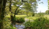 Fotobehang Quadenoordse beek met uitzicht op de weilanden 350 x 260 cm - € 235,--