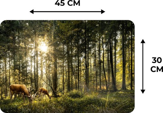 Set de table - Cerf - Nature - Forêt - 45x30 cm - 6 pièces