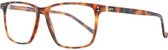 Heren Brillenframe Hackett London HEB18110056 (56 mm) Bruin (ø 56 mm)