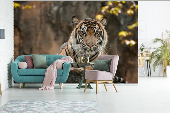 Papier Peint - Papiers Papier peint photo Tigre - Rochers - Feuilles - Largeur 420 cm x Hauteur 280 cm