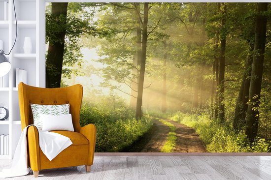 Papier peint - Papier peint photo Forêt - Soleil - Arbres - Largeur 420 cm x hauteur 280 cm