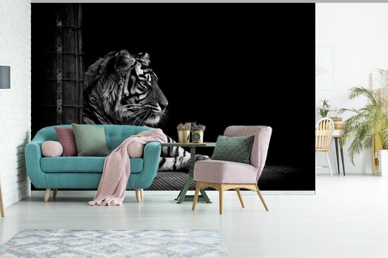 Papier peint - Papier peint photo Tigre - Zwart - Wit - Séance photo - Largeur 360 cm x hauteur 240 cm