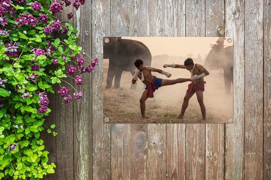 Posters de jardin Arts martiaux - Éléphants - Muay Thai - 90x60 cm - Toile de jardin