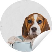 Tuincirkel Pup - Beagle - Emmer - 60x60 cm - Ronde Tuinposter - Buiten