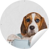 Garden Circle Pup - Beagle - Seau - 60x60 cm - Affiche de Jardin Ronde - Extérieur
