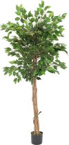 Ficus Kunstboom 150cm | Ficus Kunstboom met stam | Ficus Kunstboom voor Binnen | Ficus Kunstplant Groen met stam