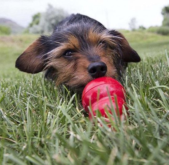 KONG Classic - Snackbal Honden Speelgoed - Rubber - 10.16cm - Rood - Maat L