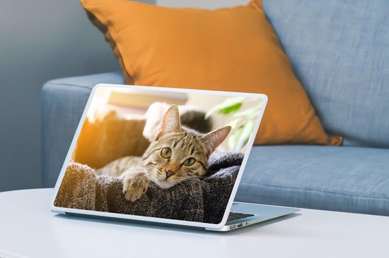 Laptop sticker - 14 inch - Kat - Mand - Kleed - 32x5x23x5cm - Laptopstickers - Laptop skin - Cover