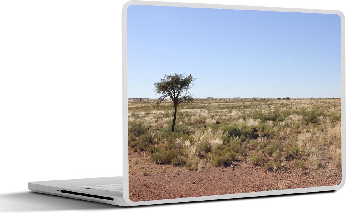 Afbeelding van product SleevesAndCases  Laptop sticker - 12.3 inch - Omliggende graslanden bij Kgalagadi Transfrontier Park