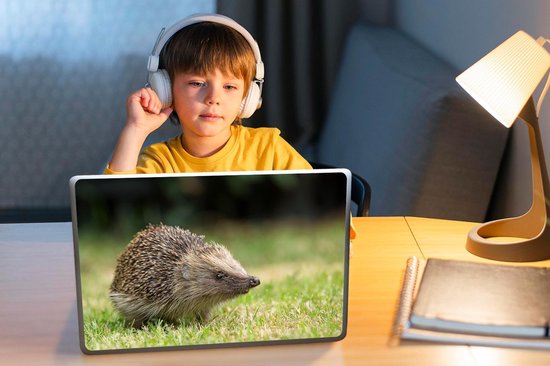 Sticker pour ordinateur portable - 12,3 pouces - Hérisson dans le jardin - 30x22cm - Autocollants pour ordinateur portable - Skin pour ordinateur portable - Housse