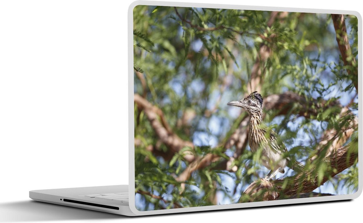 Afbeelding van product SleevesAndCases  Laptop sticker - 15.6 inch - Renkoekoek zit verstopt in een boom