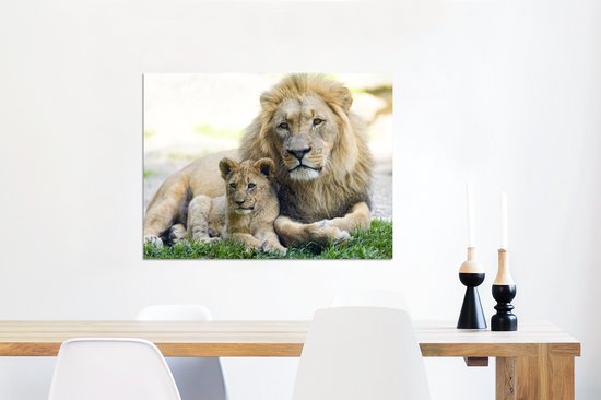 Père et lionceau Aluminium 60x40 cm - Tirage photo sur aluminium (décoration murale en métal)