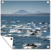 Tuindoek Dolfijn - Water - Zee - 100x100 cm