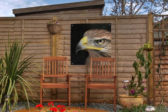 Posters de jardin Buse - Vogel - Zwart - 50x50 cm