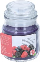 Arti Casa Geurkaars Wild Berries 9 X 6 Cm Glas/wax Paars