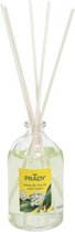 geurstokjes Mikado dama noche 100 ml glas transparant