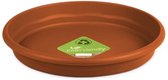onderschaal Flori 3,8 liter 29,4 x 4,4 cm terracotta