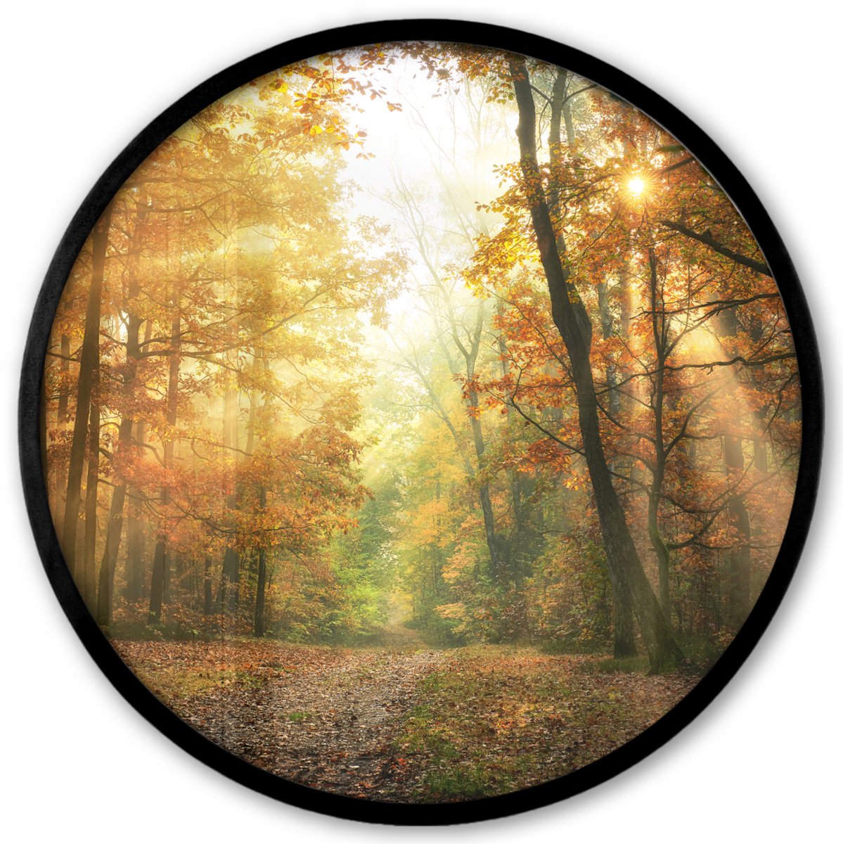 FrameYourWall Poster in lijst Rond - Fotolijst 40x40 cm - Posters - Bos - Herfst - Zon - Landschap - Natuur - Bomen - Bladeren - Ronde posterlijst zwart - Decoratie - Wanddecoratie woonkamer - Muurdecoratie slaapkamer Groen