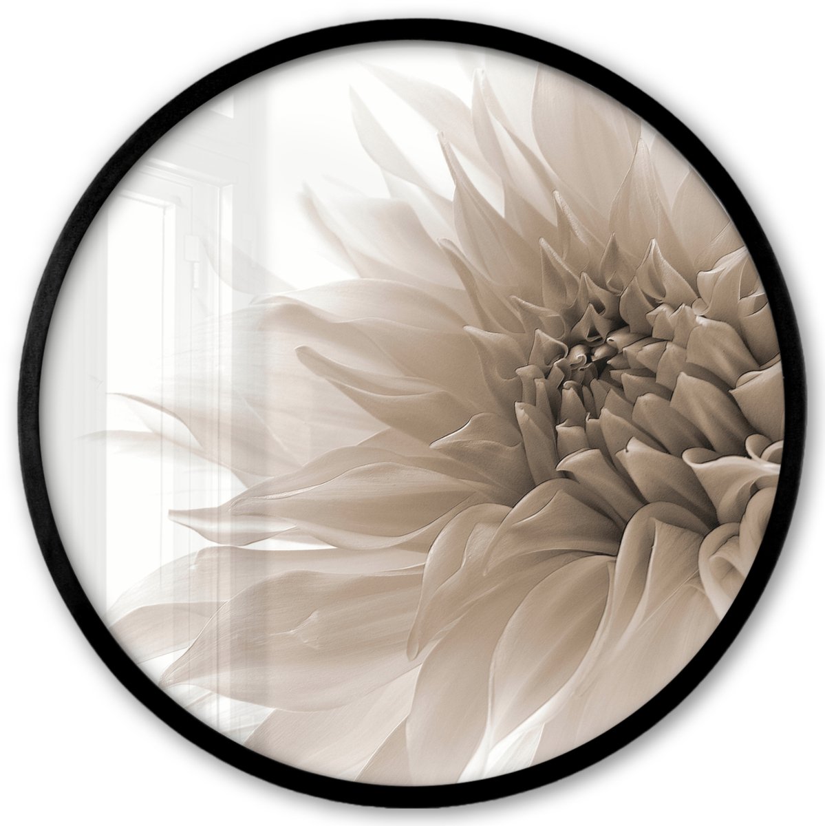 FrameYourWall Poster in lijst Rond - Fotolijst 40x40 cm - Posters - Bloemen - Wit - Natuur - Botanisch - Ronde posterlijst zwart - Decoratie - Wanddecoratie woonkamer - Muurdecoratie slaapkamer Multicolor