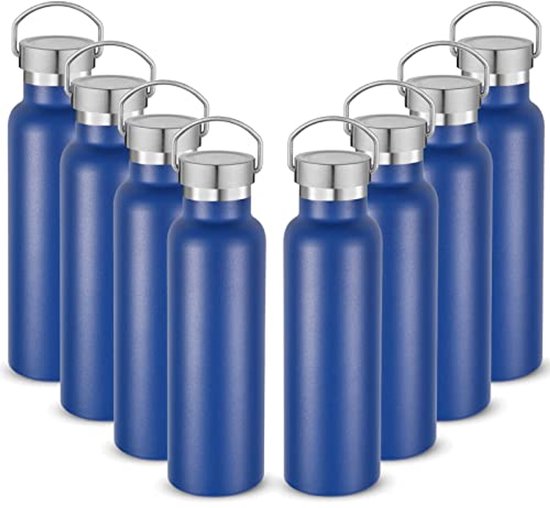 Geïsoleerde Waterflessen Bulk Set van 8 - 20oz Roestvrij Staal Sportflessen met Handvat