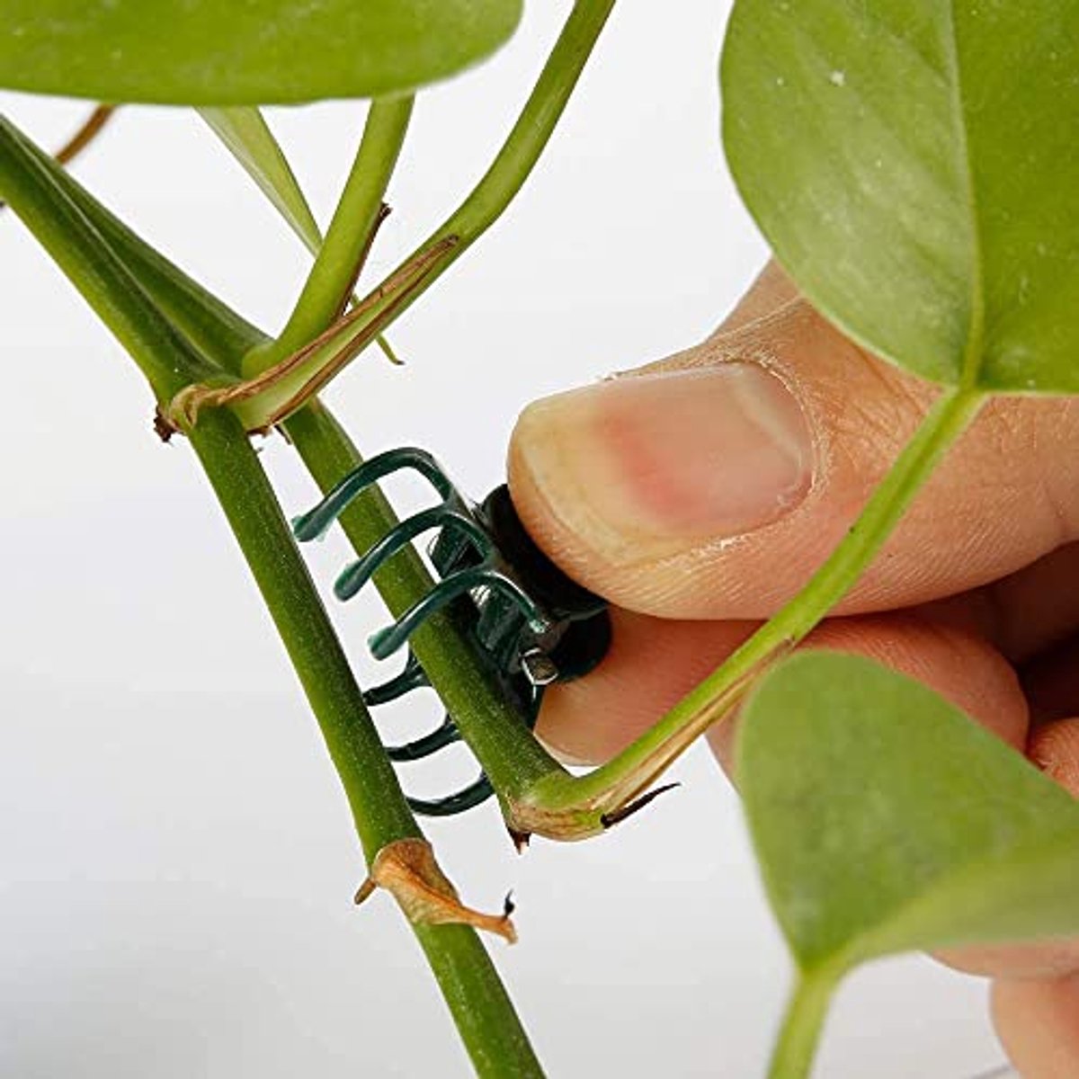 100Pcs Plant Support Clips Garden Clips Plastic Mini Stalks Flower Garden Tools Stem Clips Grow Upright Orchid