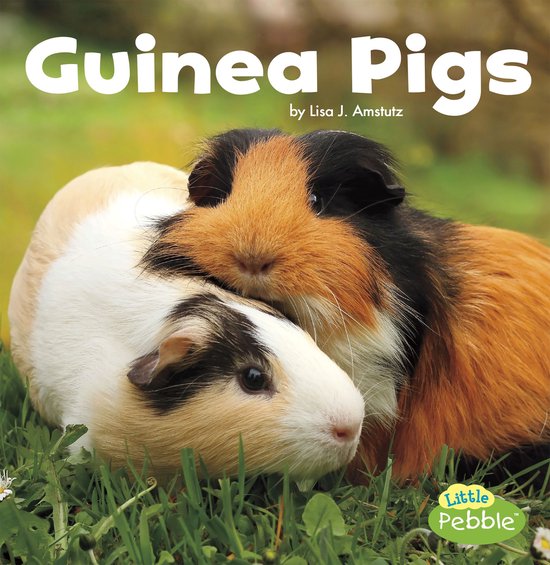 Our Pets - Guinea Pigs - cover