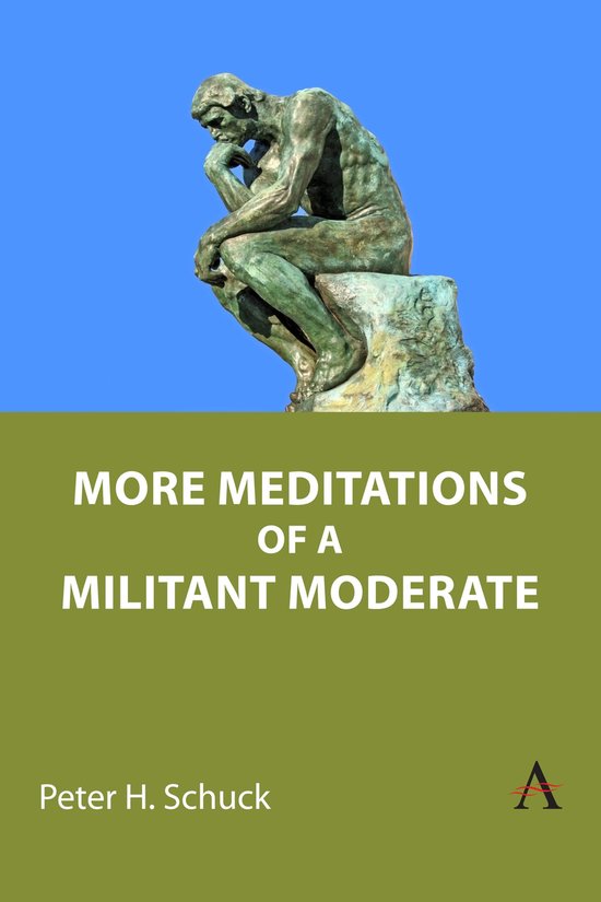 More Meditations of a Militant Moderate - cover