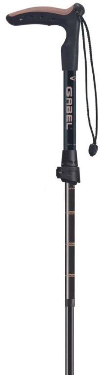 Gabel Explorer Wired F.l Xtl Stokken Zilver 97-110 cm