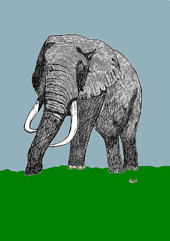 Die Tolympiade - cover