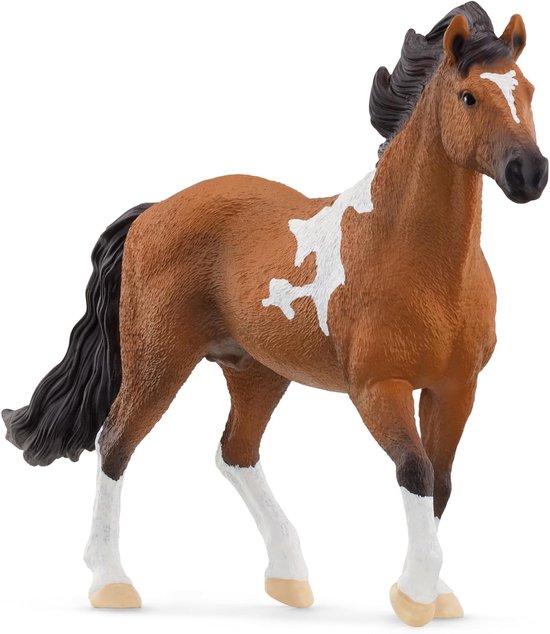 Een bruin paard met witte vlekken en witte benen, zwarte manen en staart.