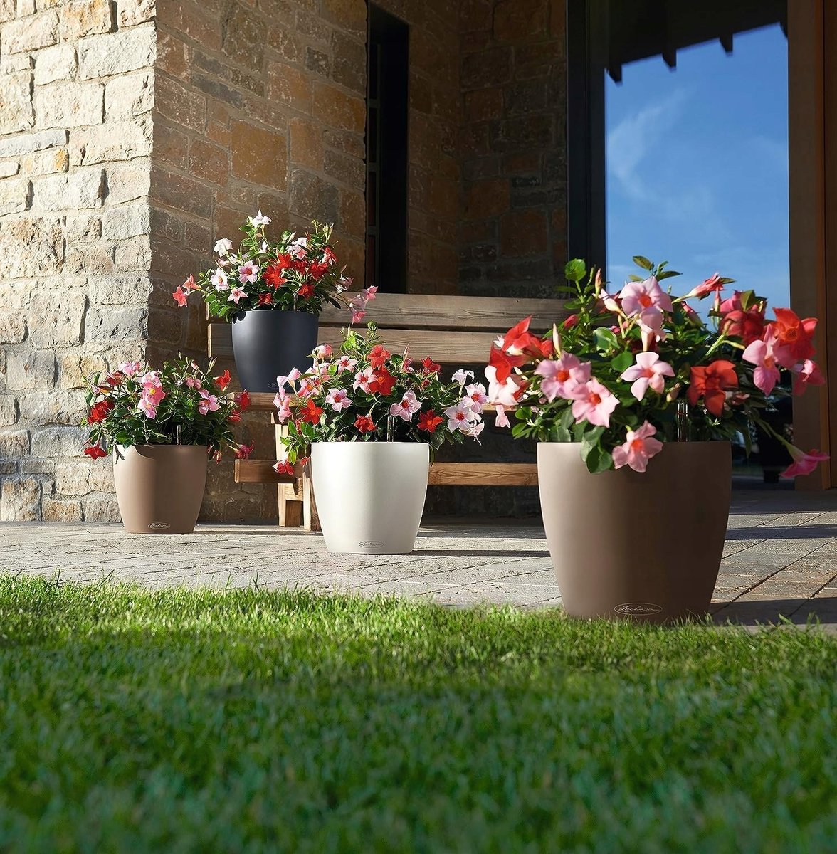 Lechuza Classico Color 43 Pot - Tijdloos Design & Zelfbewatering