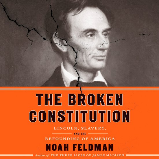 The Broken Constitution - cover
