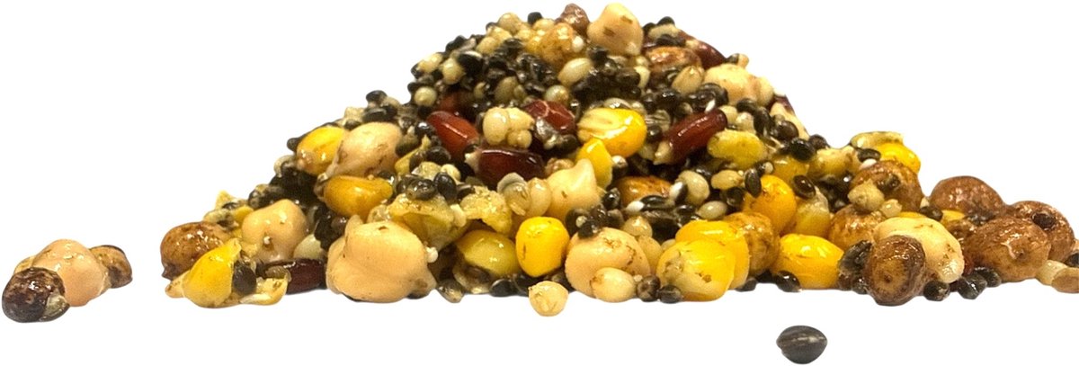 Reniers Fishing Ready To Fish Partikel Mix Allround Mix – Kant-en-Klare Partikelmix voor Karper en Witvis - Maat : 20 Kilo