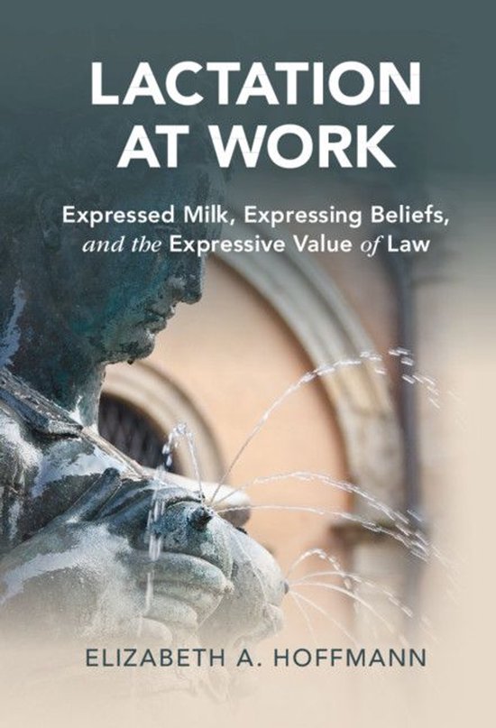 Cambridge Studies in Law and Society - Lactation at Work - cover