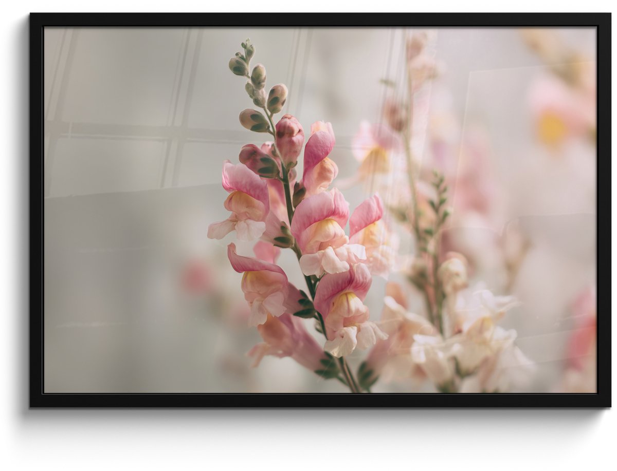 FrameYourWall Poster in lijst - Fotolijst 90x60 cm - Posters - Bloem - Leeuwenbek - Roze - Stengel - Posterlijst zwart - Decoratie - Wanddecoratie woonkamer - Muurdecoratie slaapkamer