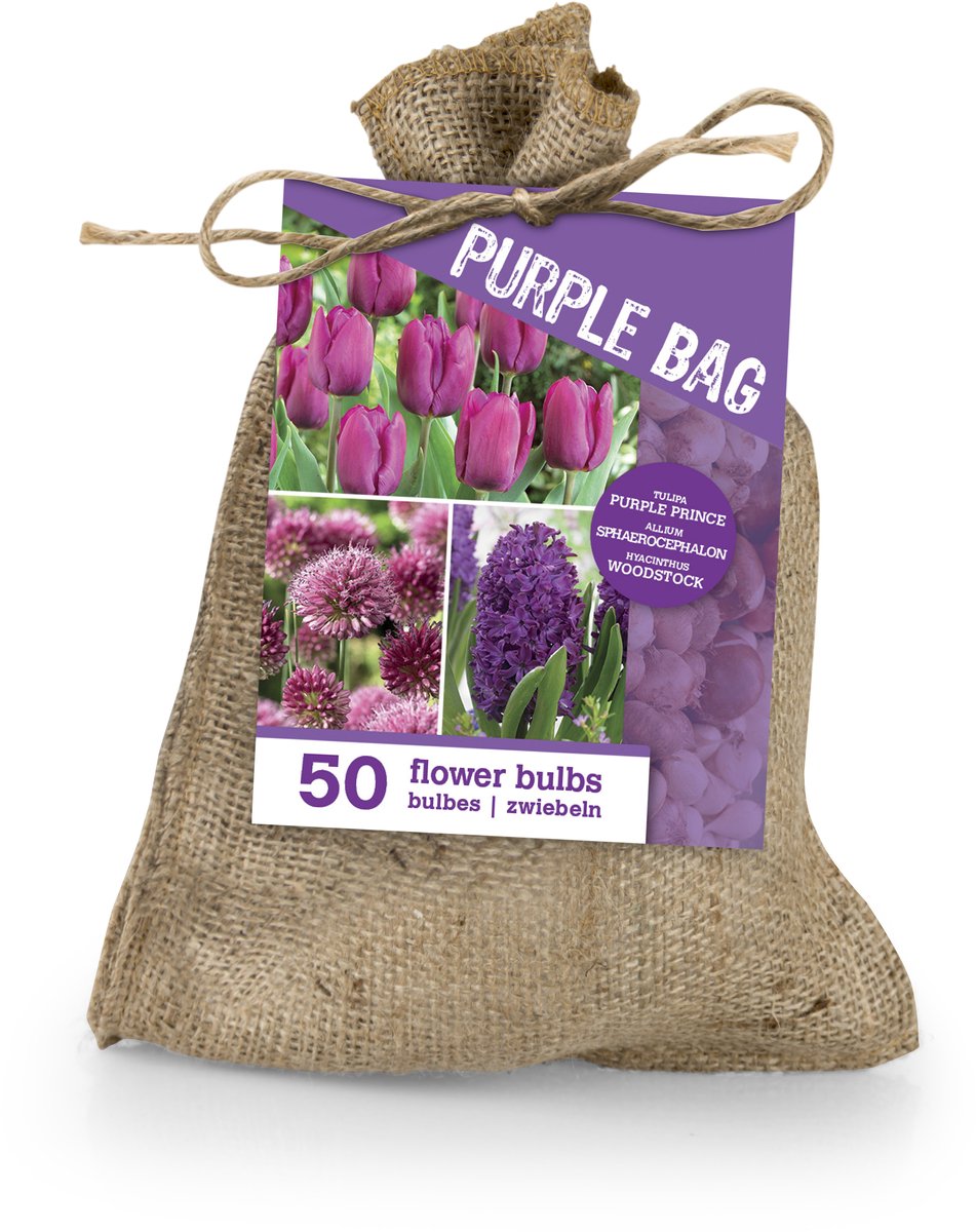 Bloomique - Mix van 50 - The Purple Bag - Paarse Mix - Tulpen, Hyacinten, Allium - Bloembollen - Voorjaarsbloeiend - Meerjarige Planten