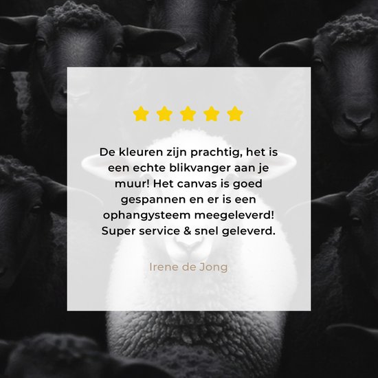 Tableau sur toile 160x80 cm - Décoration murale exclusive Mouton - Wit - Ténèbres - Décoration murale salon - Décoration chambre - Accessoires chambre - Peintures sur toile