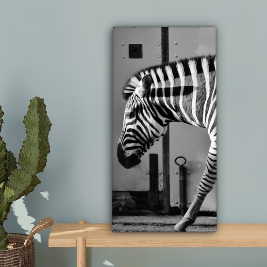 Peinture sur toile - Animaux sauvages - Zebra - Mur - Porte - Décoration murale - Toile - 20x40 cm - Tableau sur toile - Décoration de la maison