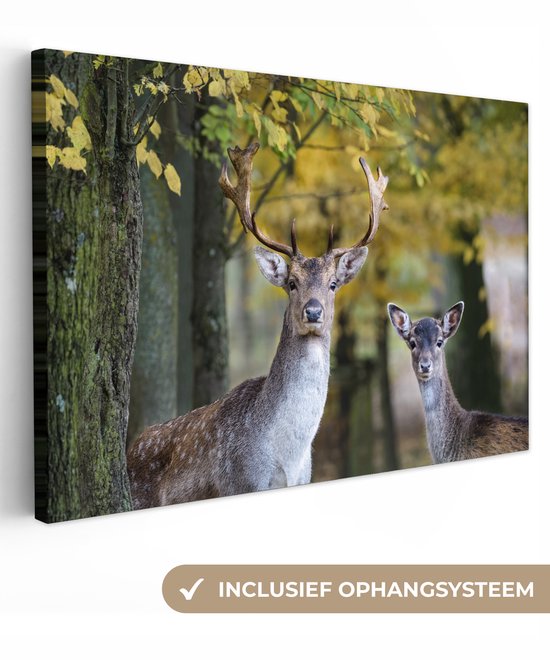 Peintures sur toile Cerf - Animaux - Arbre - 120x80 cm - Décoration murale