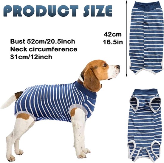 Beagle in een blauw gestreept herstelpak, met afmetingen en het pak uitgevouwen.