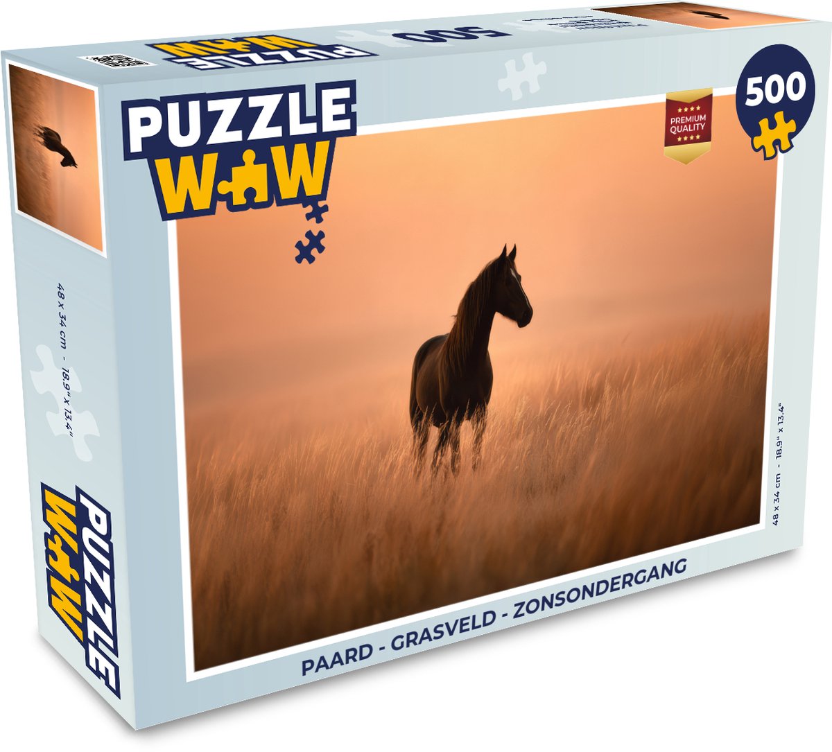 Paard - Grasveld - Zonsondergang