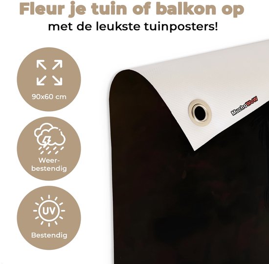 Tuinposter 90x60 cm - Tuindecoratie Ijsbeer - Hoed - Bril - Stoel - Poster voor in de tuin - Buiten decoratie - Schutting tuinschilderij - Tuindoek muurdecoratie - Wanddecoratie balkondoek
