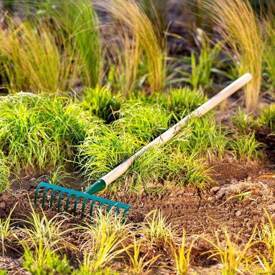 KADAX Hark van metaal, platte hark met steel van hout, bladbezem voor tuin, bloembed, bladbreken, gazonhark, groen, tuingereedschap, hooikoork, tuingereedschap, hark (12 tanden) van Merkloos	 — afbeelding 3