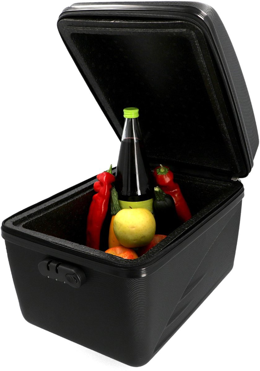 FISCHER FAHRAD Koelbox voor op de fiets Passief Zwart 19 l