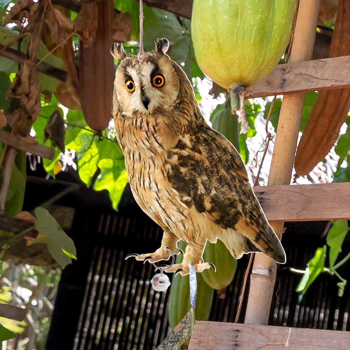 Hangende Uil - Vogelverschrikker