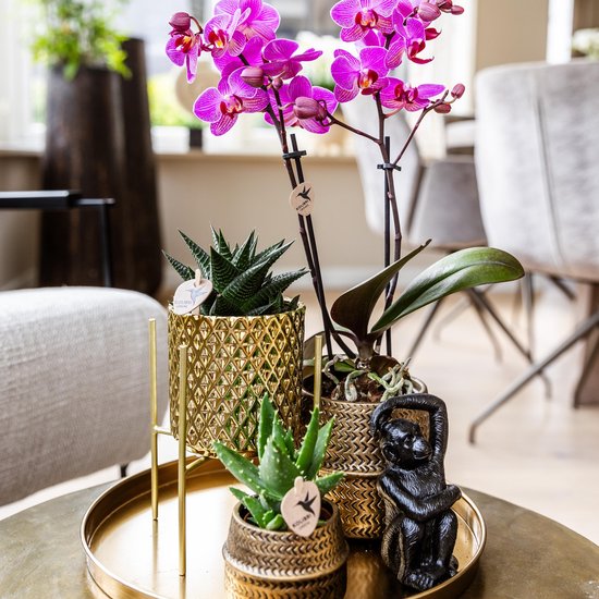 Ter Steege Bloempot plantenstandaard/verhoger - goud - H25 x B16 cm