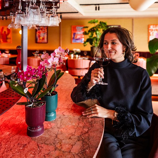 Vrouw met glas rode wijn, naast twee bloeiende orchideeën in bordeauxrode en groenblauwe potten.